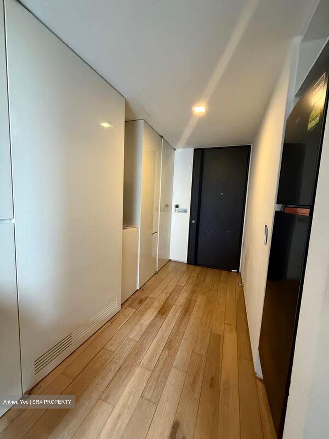 Skysuites@Anson (D2), Apartment #631954941